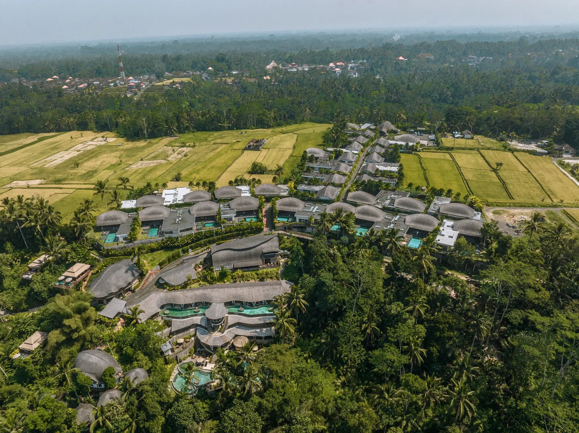 DJI_0153-1